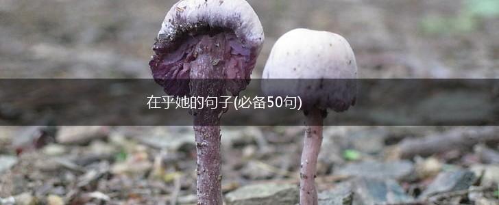 在乎她的句子(必备50句),第1张