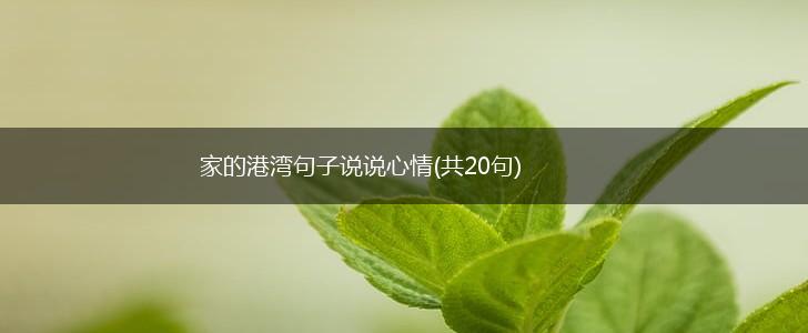 家的港湾句子说说心情(共20句),第1张