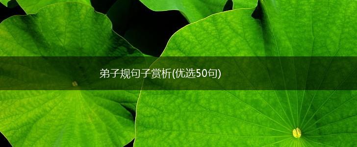 弟子规句子赏析(优选50句),第1张