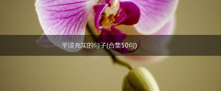 平淡充实的句子(合集50句),第1张