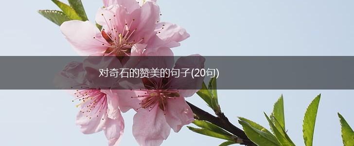 对奇石的赞美的句子(20句),第1张