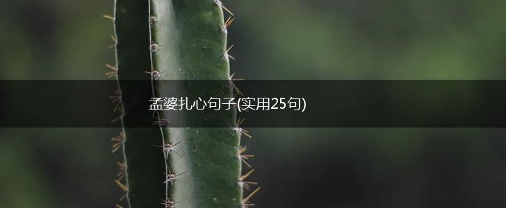 孟婆扎心句子(实用25句),第1张