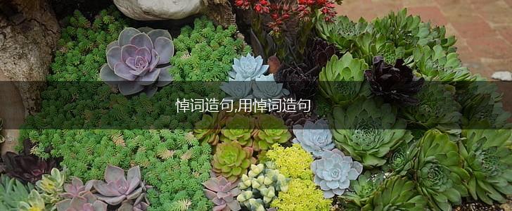 悼词造句,用悼词造句,第1张