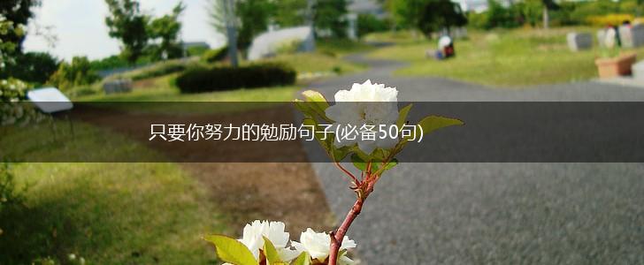 只要你努力的勉励句子(必备50句),第1张