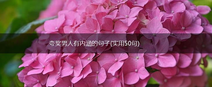 夸奖男人有内涵的句子(实用50句),第1张