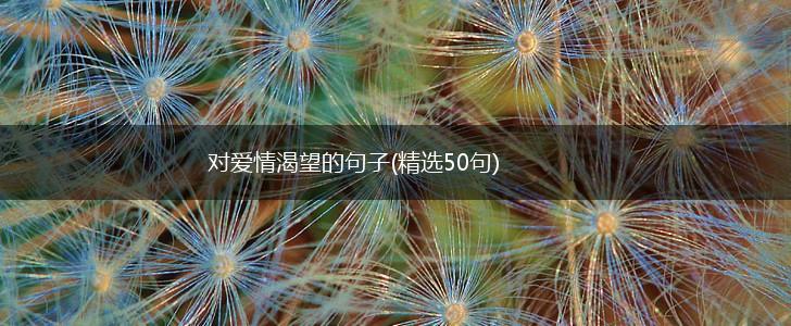 对爱情渴望的句子(精选50句),第1张