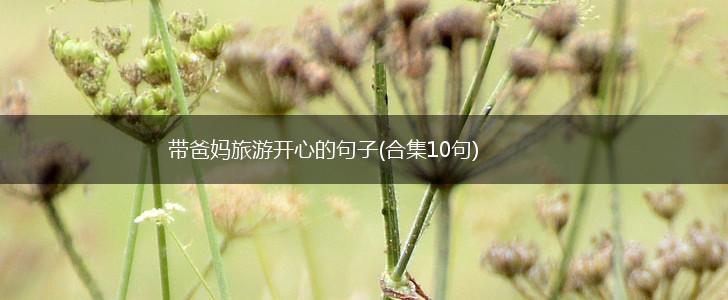 带爸妈旅游开心的句子(合集10句),第1张