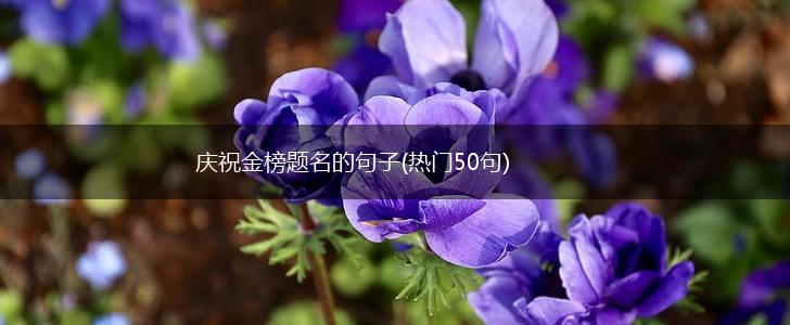 庆祝金榜题名的句子(热门50句),第1张