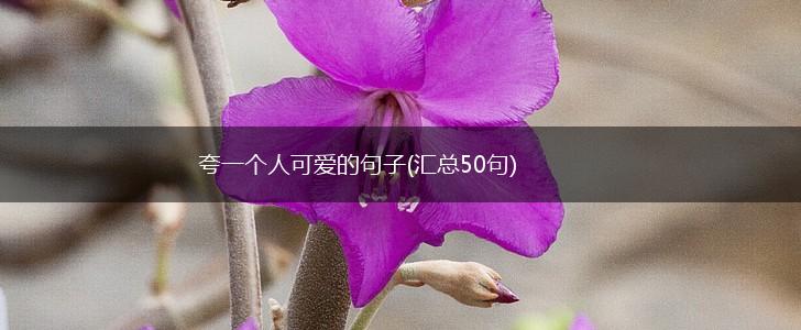 夸一个人可爱的句子(汇总50句),第1张
