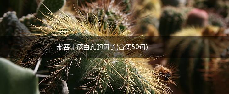 形容千疮百孔的句子(合集50句),第1张
