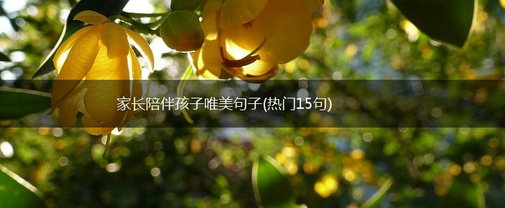 家长陪伴孩子唯美句子(热门15句),第1张