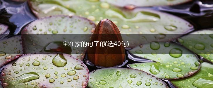 宅在家的句子(优选40句),第1张