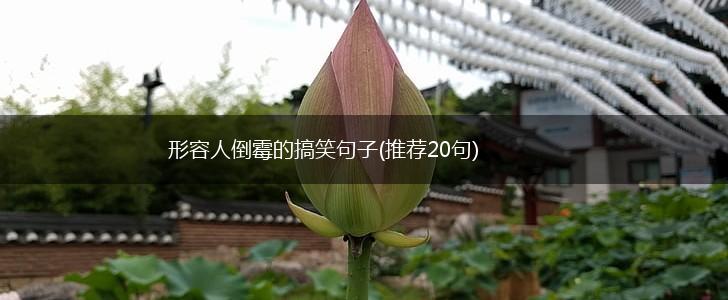 形容人倒霉的搞笑句子(推荐20句),第1张