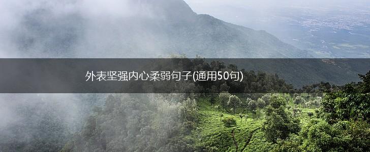外表坚强内心柔弱句子(通用50句),第1张