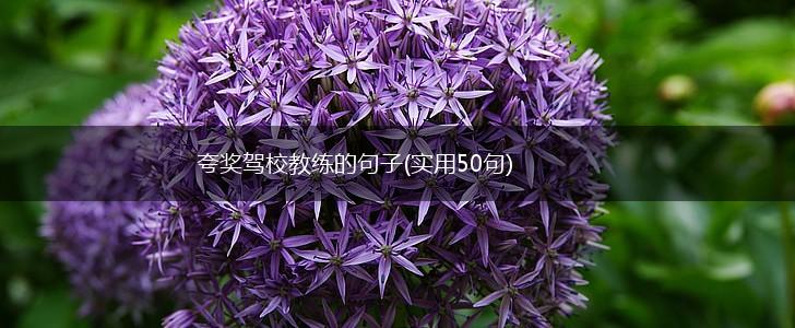夸奖驾校教练的句子(实用50句),第1张