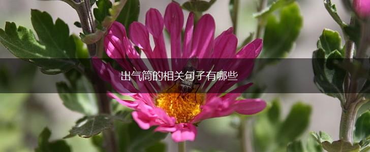出气筒的相关句子有哪些,第1张