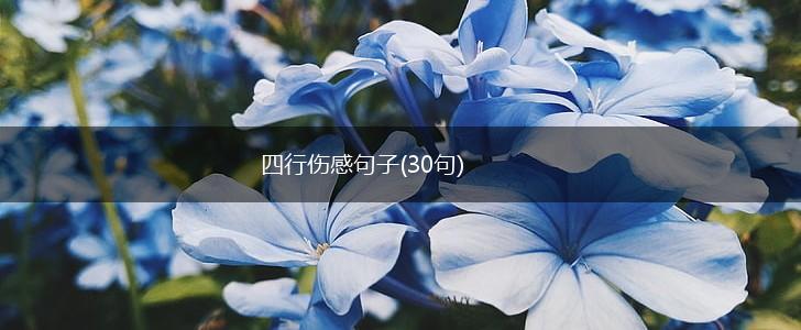 四行伤感句子(30句),第1张