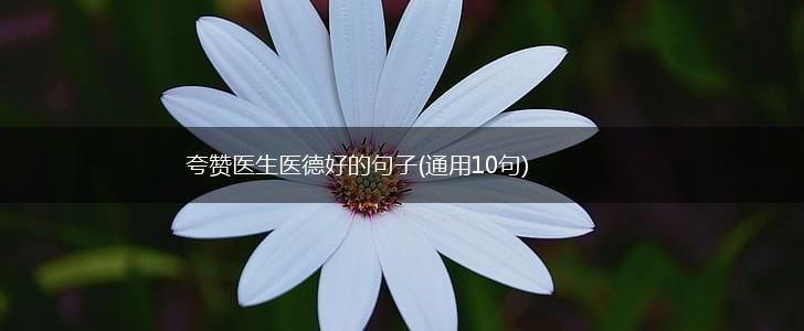 夸赞医生医德好的句子(通用10句),第1张