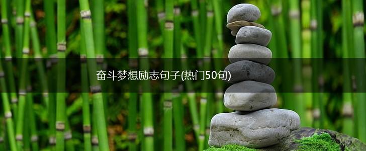 奋斗梦想励志句子(热门50句),第1张