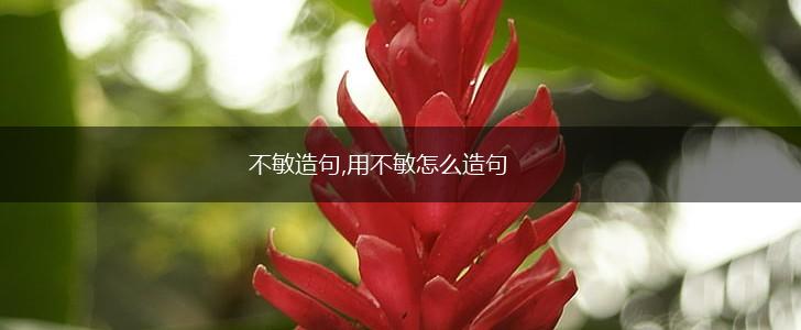不敏造句,用不敏怎么造句,第1张