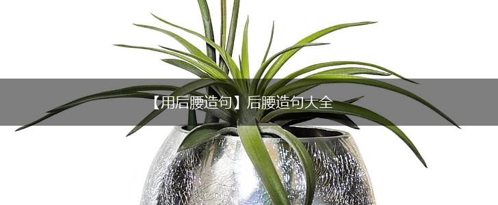 【用后腰造句】后腰造句大全,第1张 【用后腰造句】后腰造句大全,第1张