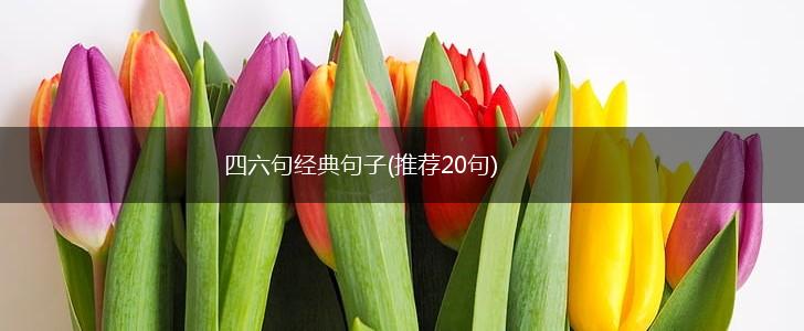 四六句经典句子(推荐20句),第1张