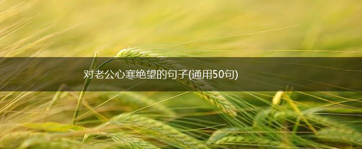 对老公心寒绝望的句子(通用50句),第1张
