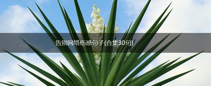 告别网络伤感句子(合集30句),第1张