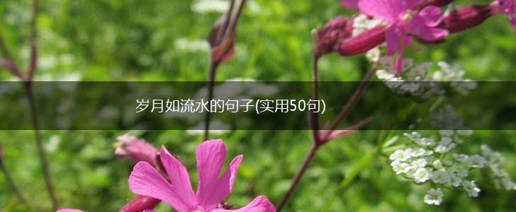 岁月如流水的句子(实用50句),第1张