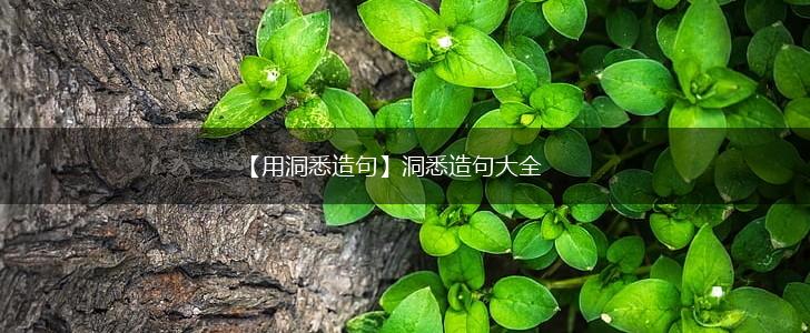 【用洞悉造句】洞悉造句大全,第1张