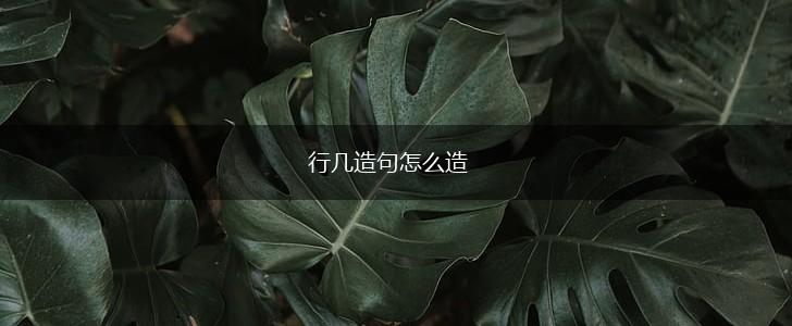 行几造句怎么造,第1张 行几造句怎么造,第1张