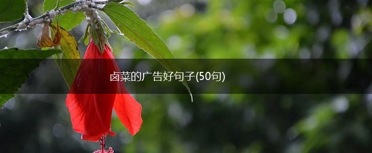 卤菜的广告好句子(50句),第1张