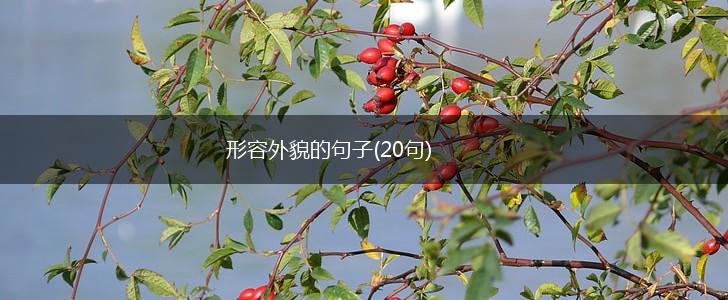 形容外貌的句子(20句),第1张