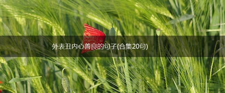 外表丑内心善良的句子(合集20句),第1张