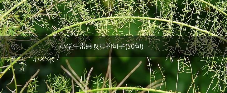 小学生带感叹号的句子(50句),第1张