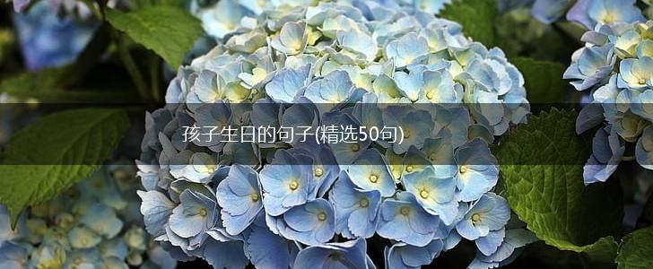孩子生日的句子(精选50句),第1张