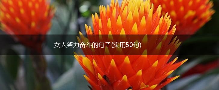 女人努力奋斗的句子(实用50句),第1张
