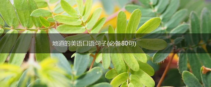 地道的美语口语句子(必备80句),第1张