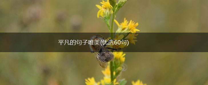 平凡的句子唯美(优选60句),第1张