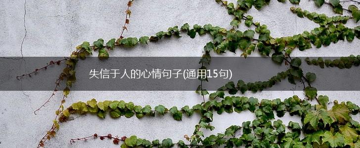 失信于人的心情句子(通用15句),第1张