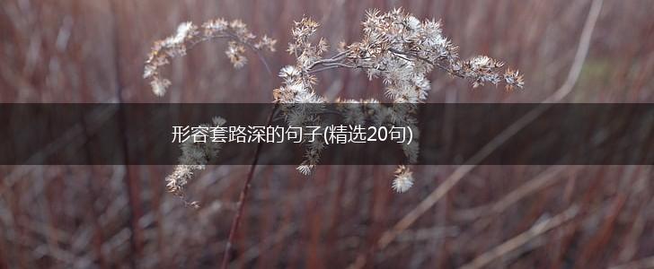 形容套路深的句子(精选20句),第1张