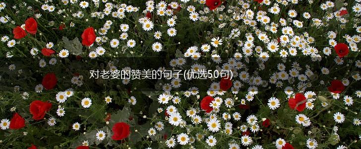 对老婆的赞美的句子(优选50句),第1张
