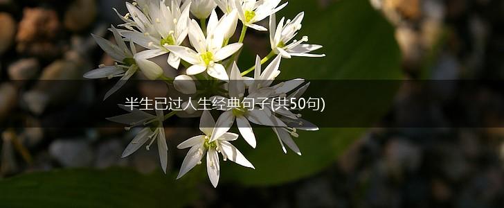 半生已过人生经典句子(共50句),第1张