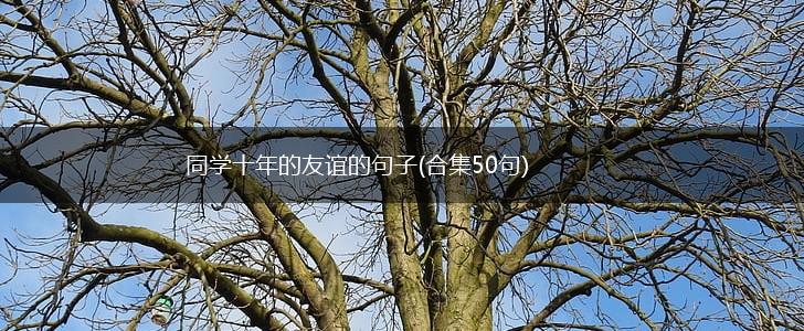 同学十年的友谊的句子(合集50句),第1张