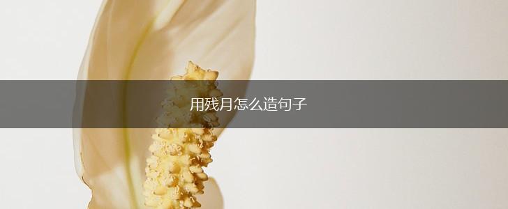 用残月怎么造句子,第1张