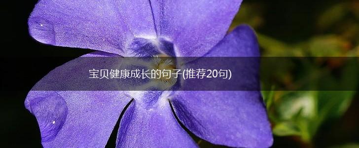宝贝健康成长的句子(推荐20句),第1张