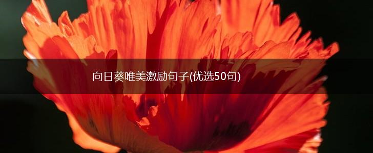 向日葵唯美激励句子(优选50句),第1张