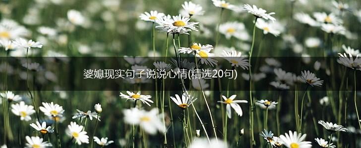 婆媳现实句子说说心情(精选20句),第1张