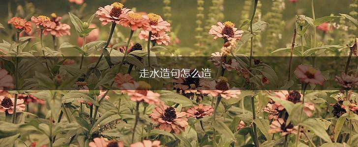 走水造句怎么造,第1张