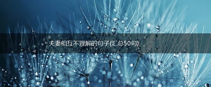夫妻相互不理解的句子(汇总50句),第1张